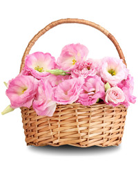 lisianthuses in a basket. USA